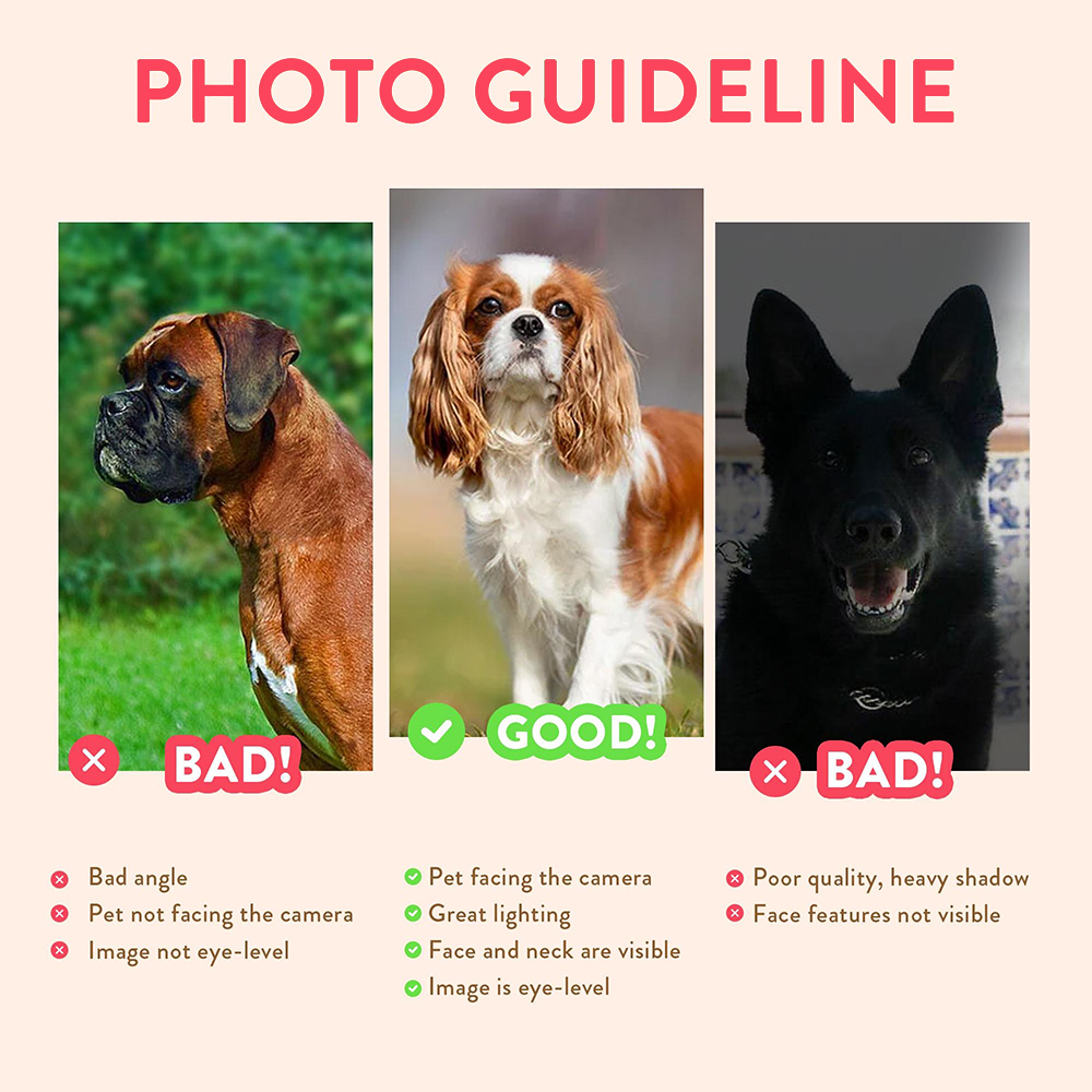 ภาพวาดสัตว์เลี้ยงส่วนตัว พร้อม - Pet Portrait Custom บทวิจารณ์และราคา